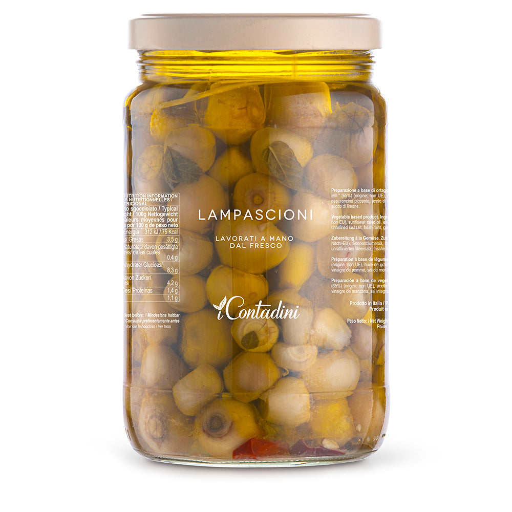 Lampascioni - 230g Jar - Wild Muscari Bulbs in Oil